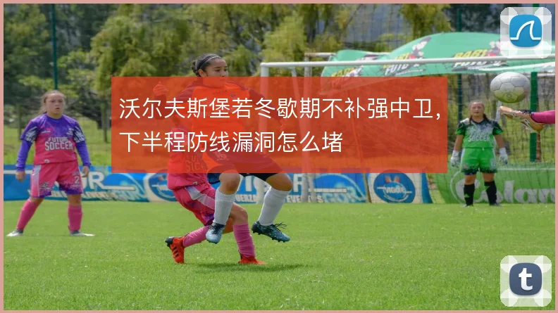 沃尔夫斯堡若冬歇期不补强中卫,下半程防线漏洞怎么堵