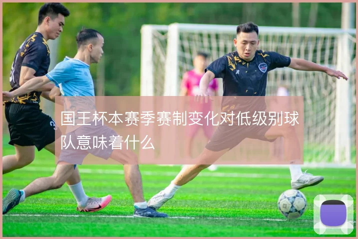 国王杯本赛季赛制变化对低级别球队意味着什么