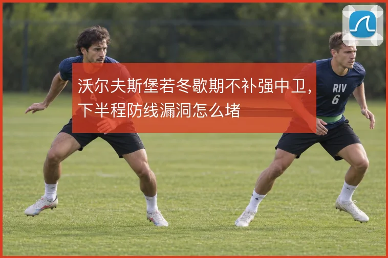 沃尔夫斯堡若冬歇期不补强中卫，下半程防线漏洞怎么堵