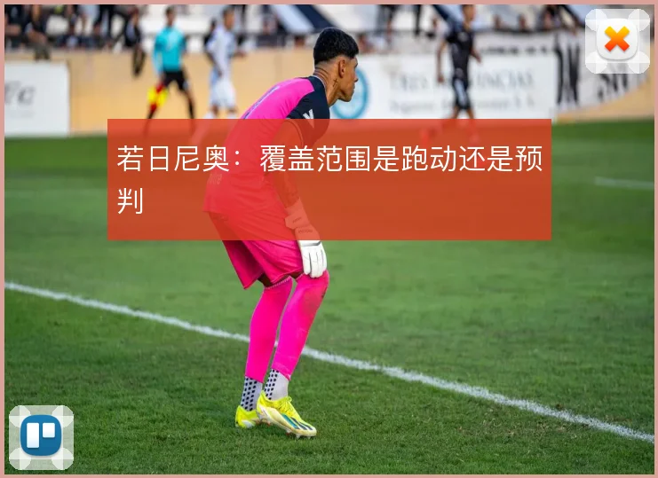若日尼奥：覆盖范围是跑动还是预判